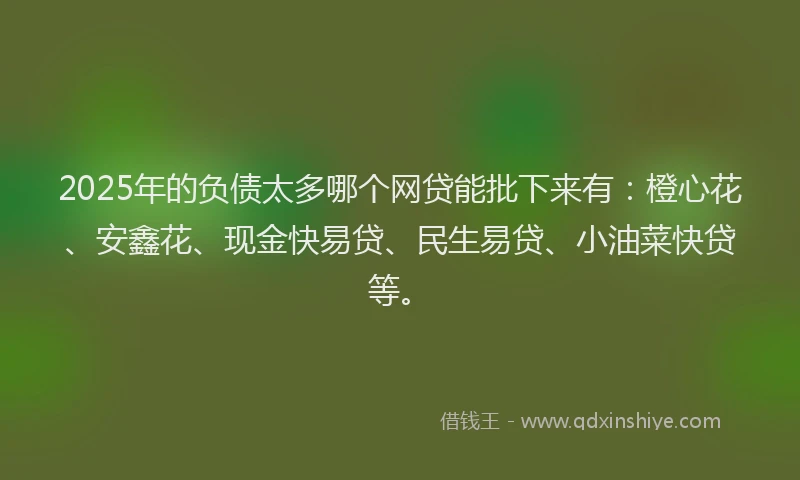 2025年的负债太多哪个网贷能批下来有：橙心花、安鑫花、现金快易贷、民生易贷、小油菜快贷等。