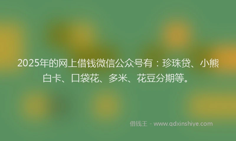 2025年的网上借钱微信公众号有：珍珠贷、小熊白卡、口袋花、多米、花豆分期等。