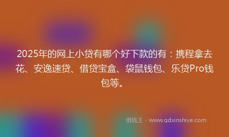 2025年的网上小贷有哪个好下款的有：携程拿去花、安逸速贷、借贷宝盒、袋鼠钱包、乐贷Pro钱包等。