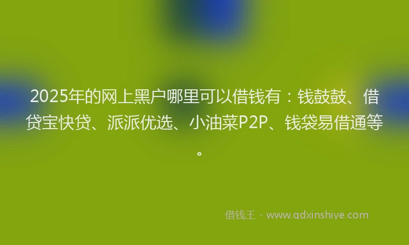 2025年的网上黑户哪里可以借钱有：钱鼓鼓、借贷宝快贷、派派优选、小油菜P2P、钱袋易借通等。