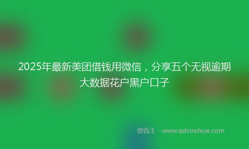 2025年最新美团借钱用微信，分享五个无视逾期大数据花户黑户口子