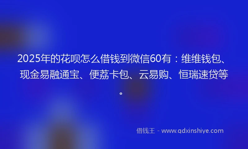 2025年的花呗怎么借钱到微信60有：维维钱包、现金易融通宝、便荔卡包、云易购、恒瑞速贷等。