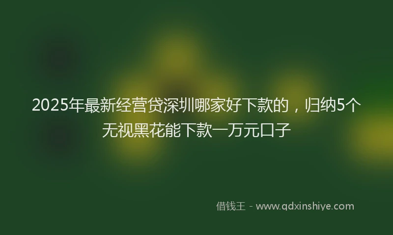 2025年最新经营贷深圳哪家好下款的，归纳5个无视黑花能下款一万元口子