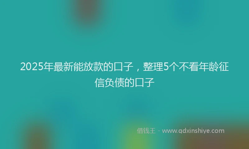 2025年最新能放款的口子，整理5个不看年龄征信负债的口子