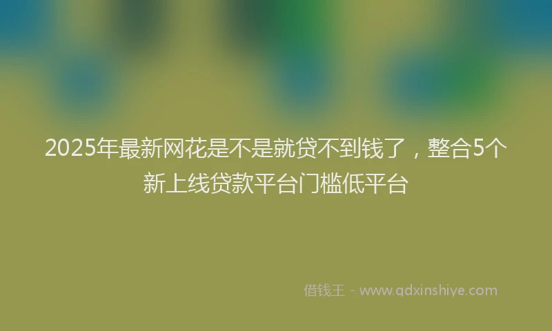 2025年最新网花是不是就贷不到钱了，整合5个新上线贷款平台门槛低平台