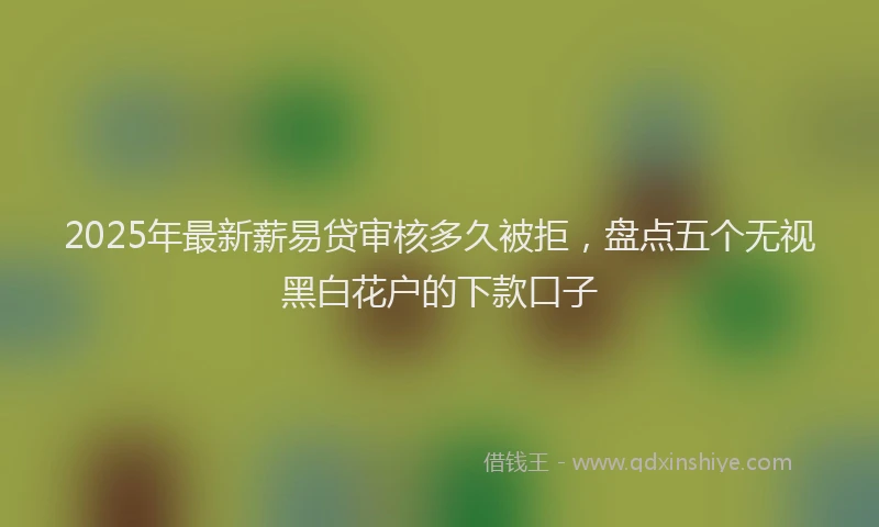 2025年最新薪易贷审核多久被拒，盘点五个无视黑白花户的下款口子