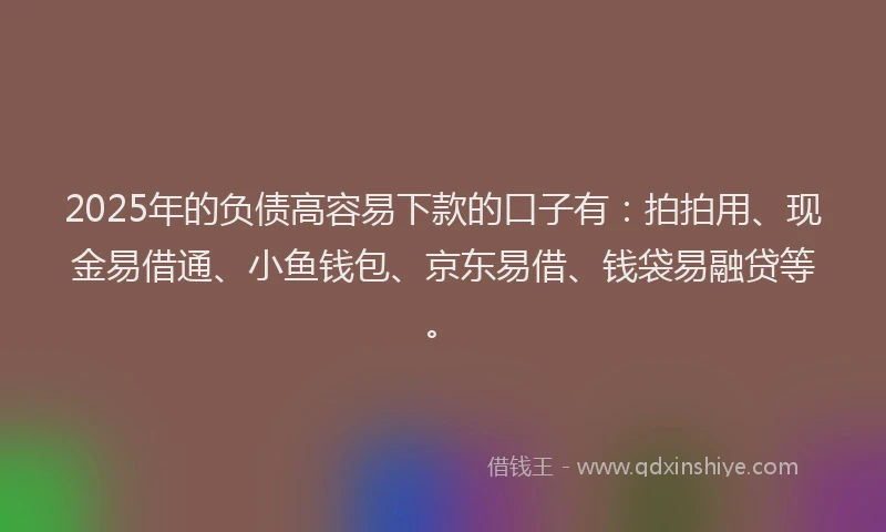 2025年的负债高容易下款的口子有：拍拍用、现金易借通、小鱼钱包、京东易借、钱袋易融贷等。