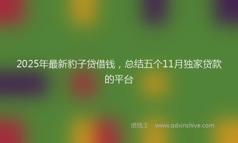 2025年最新豹子贷借钱，总结五个11月独家贷款的平台