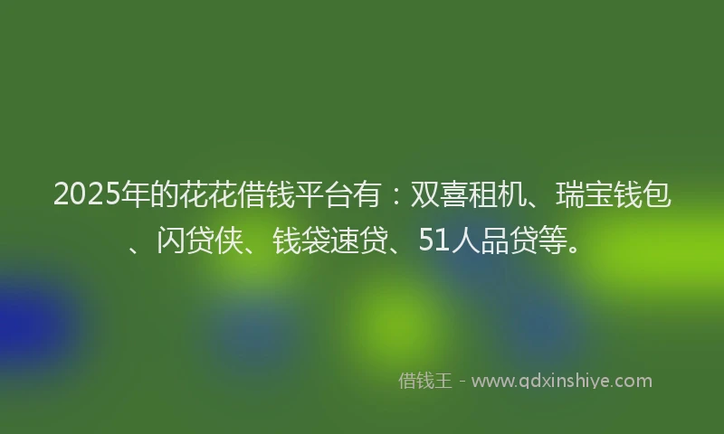 2025年的花花借钱平台有：双喜租机、瑞宝钱包、闪贷侠、钱袋速贷、51人品贷等。