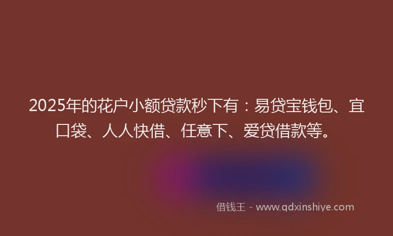 2025年的花户小额贷款秒下有：易贷宝钱包、宜口袋、人人快借、任意下、爱贷借款等。