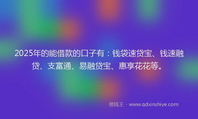 2025年的能借款的口子有：钱袋速贷宝、钱速融贷、支富通、易融贷宝、惠享花花等。