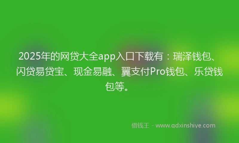 2025年的网贷大全app入口下载有：瑞泽钱包、闪贷易贷宝、现金易融、翼支付Pro钱包、乐贷钱包等。