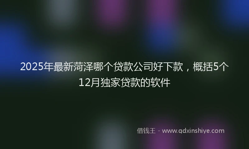 2025年最新菏泽哪个贷款公司好下款，概括5个12月独家贷款的软件