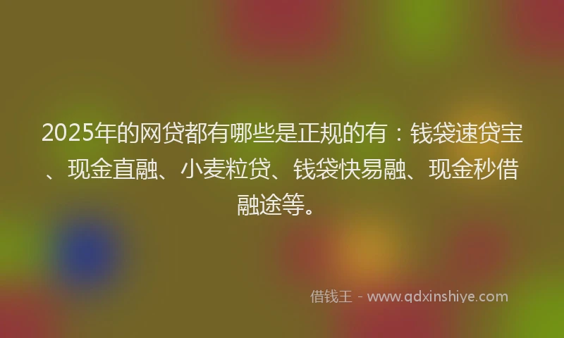 2025年的网贷都有哪些是正规的有:钱袋速贷宝、现金直融、小麦粒贷、钱袋快易融、现金秒借融途等。