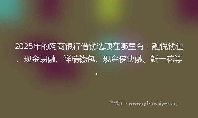 2025年的网商银行借钱选项在哪里有：融悦钱包、现金易融、祥瑞钱包、现金侠快融、新一花等。