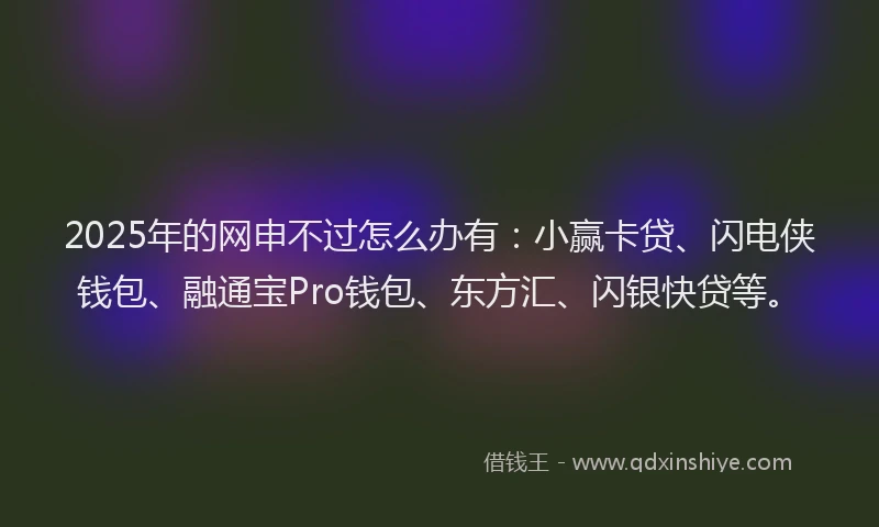 2025年的网申不过怎么办有：小赢卡贷、闪电侠钱包、融通宝Pro钱包、东方汇、闪银快贷等。