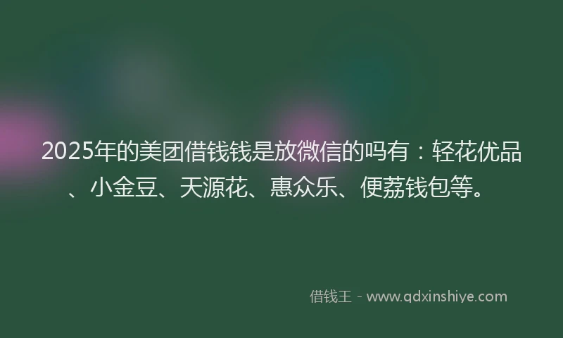 2025年的美团借钱钱是放微信的吗有：轻花优品、小金豆、天源花、惠众乐、便荔钱包等。