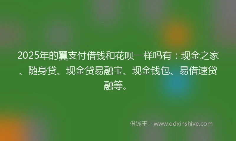 2025年的翼支付借钱和花呗一样吗有：现金之家、随身贷、现金贷易融宝、现金钱包、易借速贷融等。