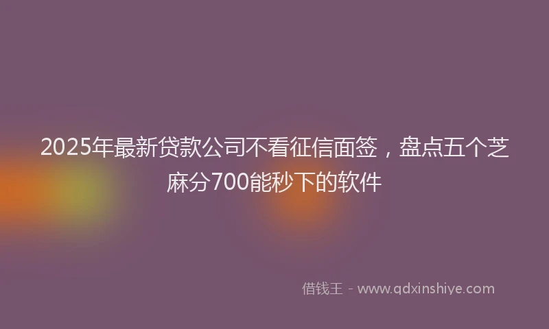 2025年最新贷款公司不看征信面签，盘点五个芝麻分700能秒下的软件