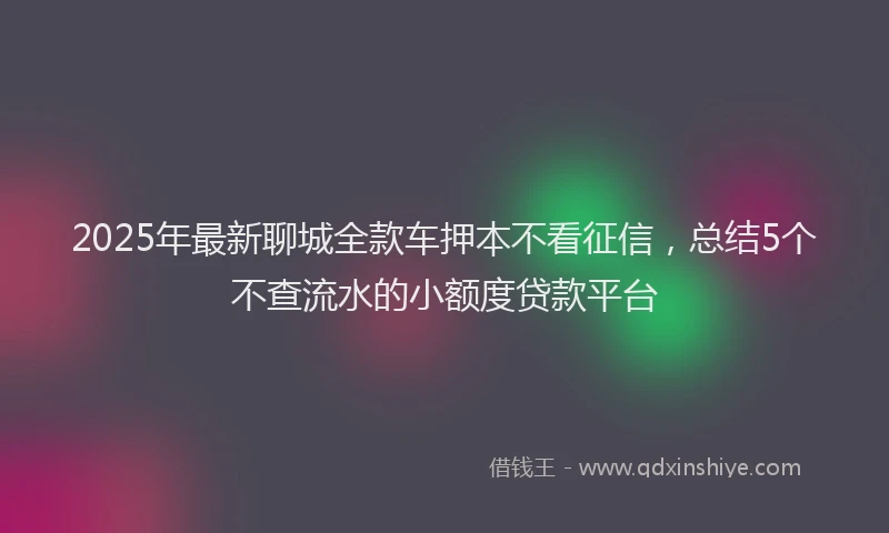 2025年最新聊城全款车押本不看征信，总结5个不查流水的小额度贷款平台
