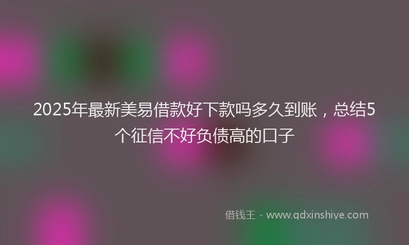 2025年最新美易借款好下款吗多久到账，总结5个征信不好负债高的口子