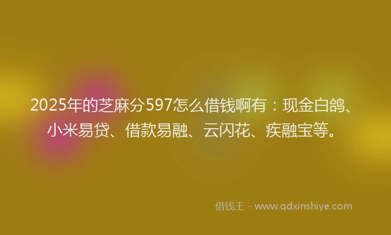 2025年的芝麻分597怎么借钱啊有：现金白鸽、小米易贷、借款易融、云闪花、疾融宝等。