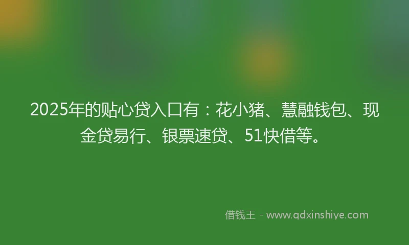 2025年的贴心贷入口有：花小猪、慧融钱包、现金贷易行、银票速贷、51快借等。