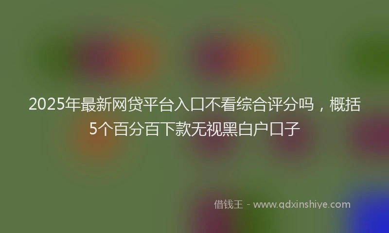 2025年最新网贷平台入口不看综合评分吗，概括5个百分百下款无视黑白户口子