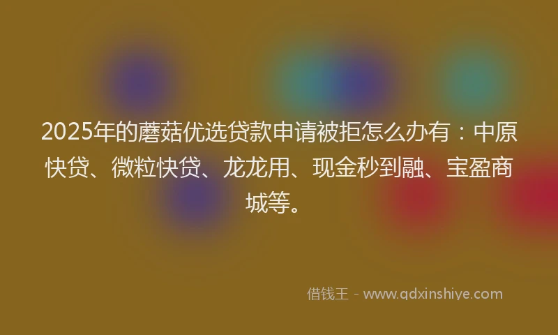2025年的蘑菇优选贷款申请被拒怎么办有：中原快贷、微粒快贷、龙龙用、现金秒到融、宝盈商城等。