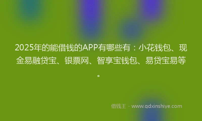 2025年的能借钱的APP有哪些有：小花钱包、现金易融贷宝、银票网、智享宝钱包、易贷宝易等。