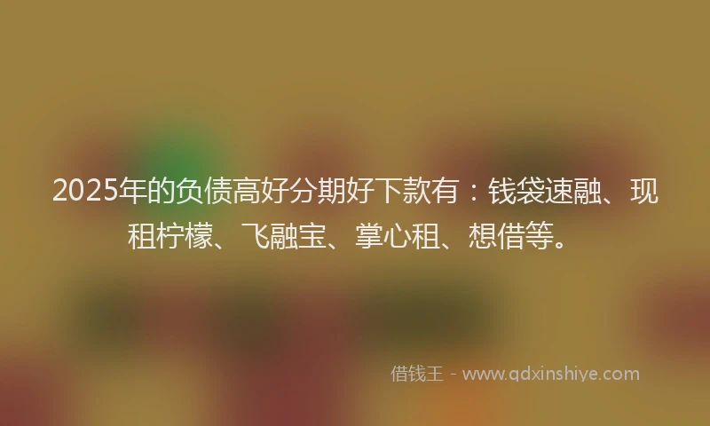 2025年的负债高好分期好下款有：钱袋速融、现租柠檬、飞融宝、掌心租、想借等。