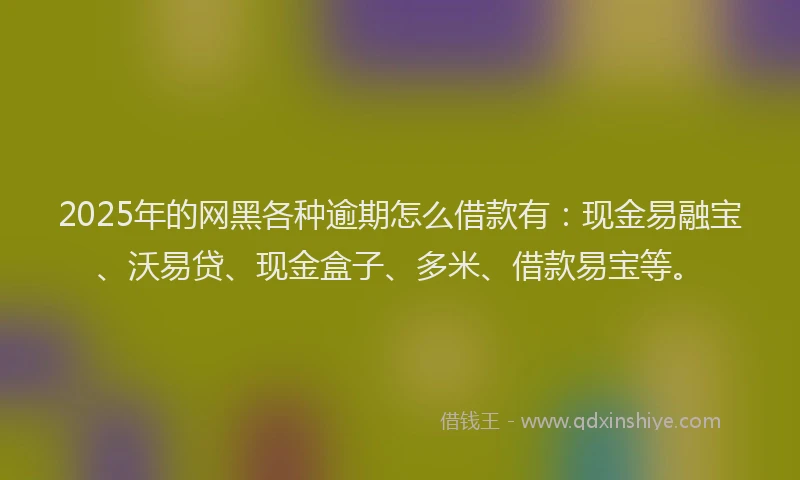 2025年的网黑各种逾期怎么借款有：现金易融宝、沃易贷、现金盒子、多米、借款易宝等。