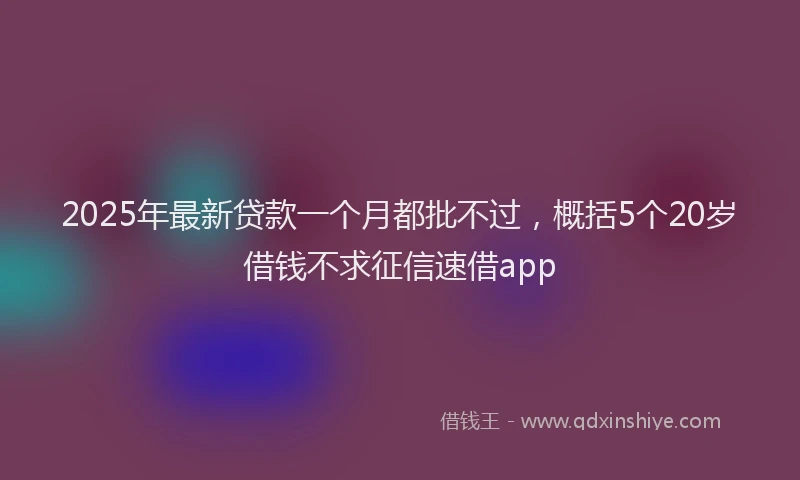 2025年最新贷款一个月都批不过,概括5个20岁借钱不求征信速借app