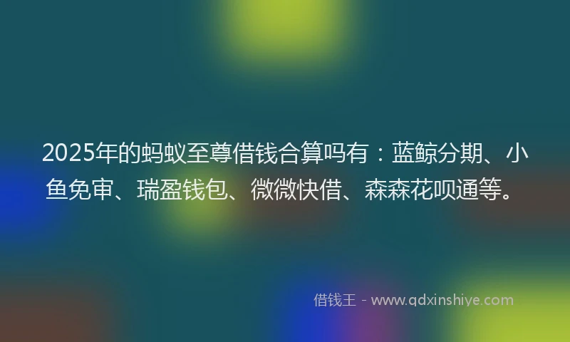 2025年的蚂蚁至尊借钱合算吗有：蓝鲸分期、小鱼免审、瑞盈钱包、微微快借、森森花呗通等。