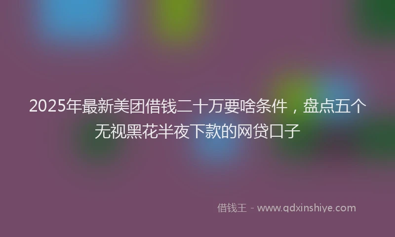 2025年最新美团借钱二十万要啥条件，盘点五个无视黑花半夜下款的网贷口子