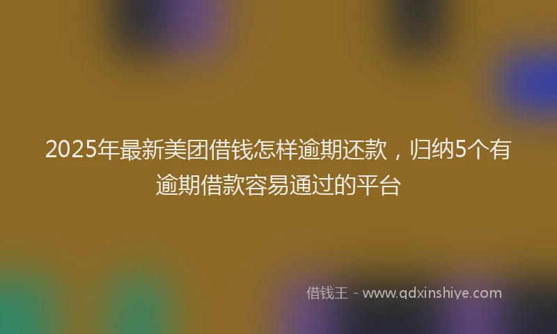 2025年最新美团借钱怎样逾期还款，归纳5个有逾期借款容易通过的平台