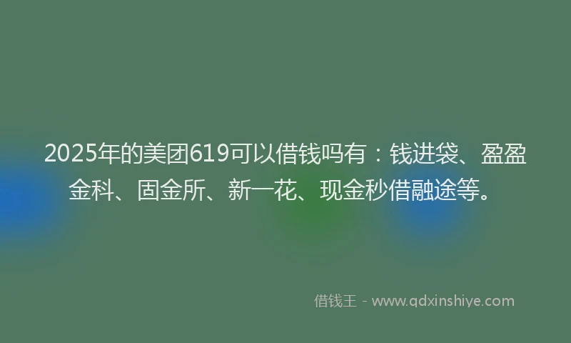 2025年的美团619可以借钱吗有：钱进袋、盈盈金科、固金所、新一花、现金秒借融途等。