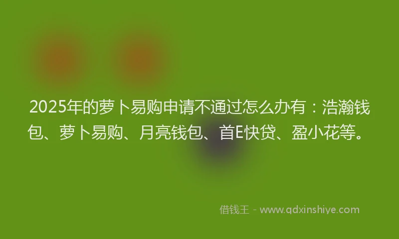 2025年的萝卜易购申请不通过怎么办有：浩瀚钱包、萝卜易购、月亮钱包、首E快贷、盈小花等。