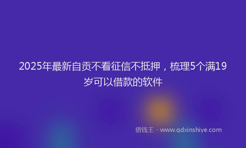 2025年最新自贡不看征信不抵押，梳理5个满19岁可以借款的软件