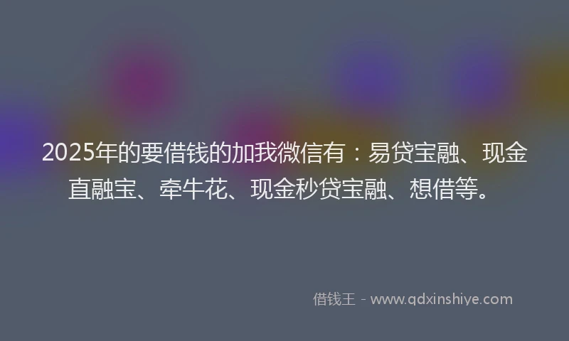 2025年的要借钱的加我微信有：易贷宝融、现金直融宝、牵牛花、现金秒贷宝融、想借等。