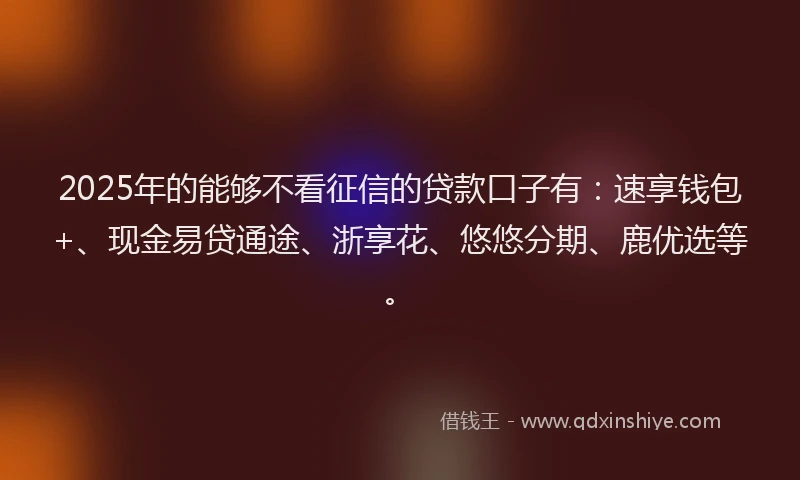 2025年的能够不看征信的贷款口子有：速享钱包+、现金易贷通途、浙享花、悠悠分期、鹿优选等。