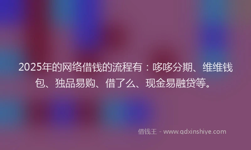 2025年的网络借钱的流程有：哆哆分期、维维钱包、独品易购、借了么、现金易融贷等。