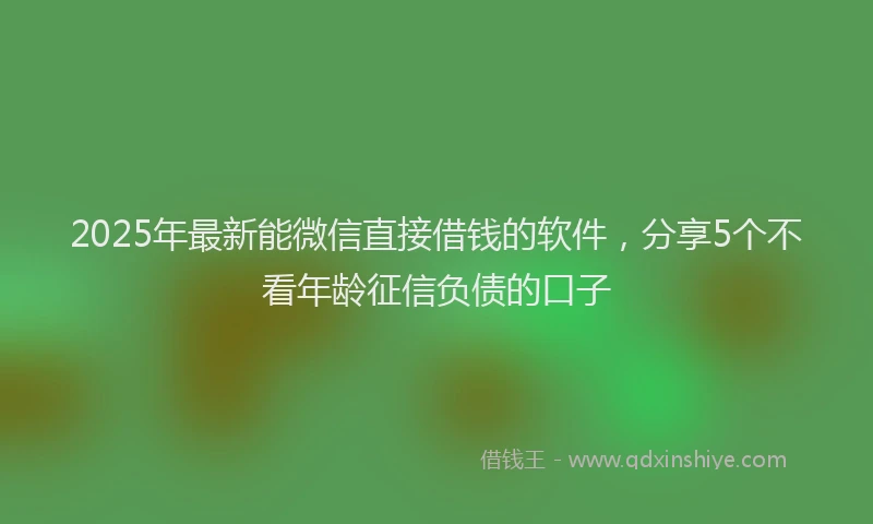 2025年最新能微信直接借钱的软件，分享5个不看年龄征信负债的口子