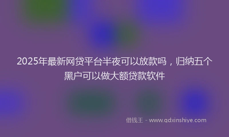 2025年最新网贷平台半夜可以放款吗，归纳五个黑户可以做大额贷款软件
