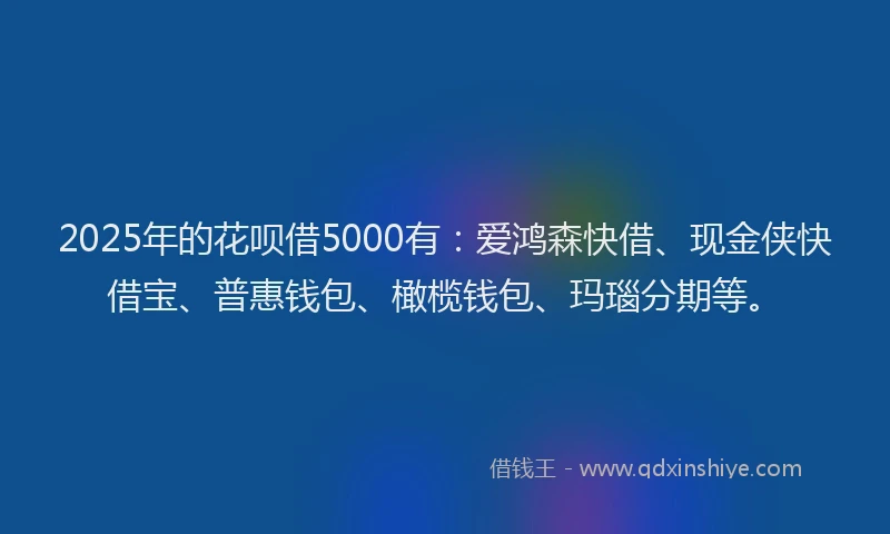 2025年的花呗借5000有：爱鸿森快借、现金侠快借宝、普惠钱包、橄榄钱包、玛瑙分期等。