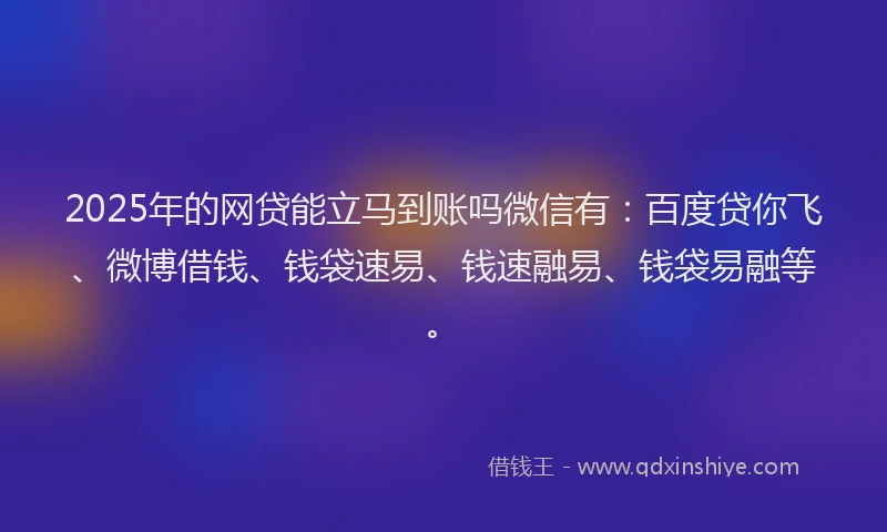 2025年的网贷能立马到账吗微信有：百度贷你飞、微博借钱、钱袋速易、钱速融易、钱袋易融等。