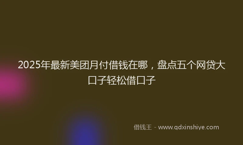 2025年最新美团月付借钱在哪，盘点五个网贷大口子轻松借口子