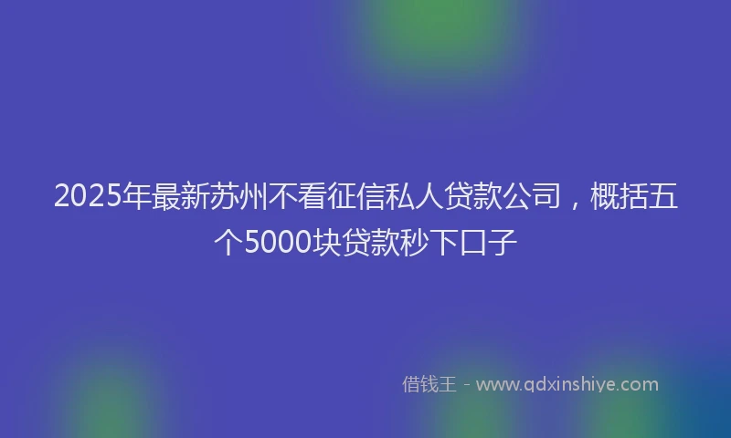 2025年最新苏州不看征信私人贷款公司，概括五个5000块贷款秒下口子