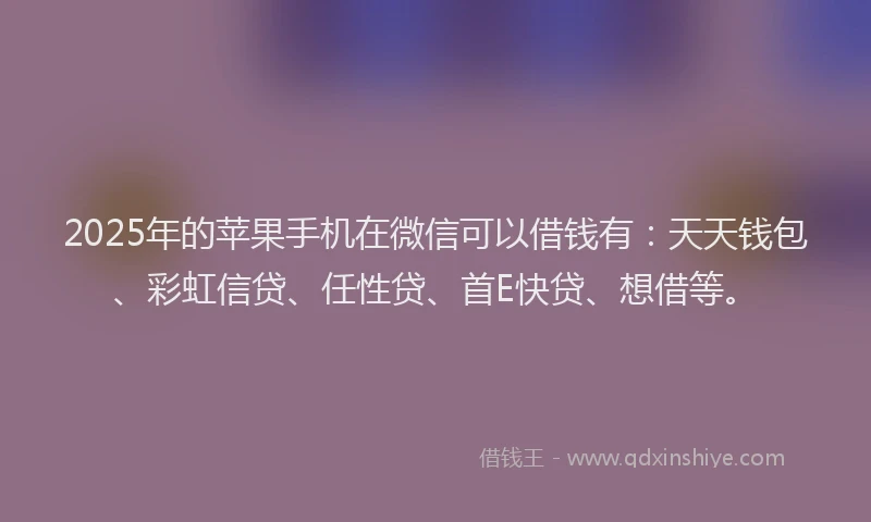 2025年的苹果手机在微信可以借钱有：天天钱包、彩虹信贷、任性贷、首E快贷、想借等。