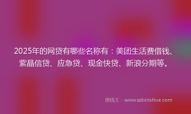 2025年的网贷有哪些名称有：美团生活费借钱、紫晶信贷、应急贷、现金快贷、新浪分期等。